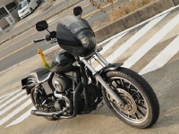 DSC_8778.JPG